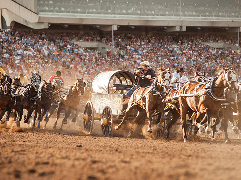 Calgary Stampede