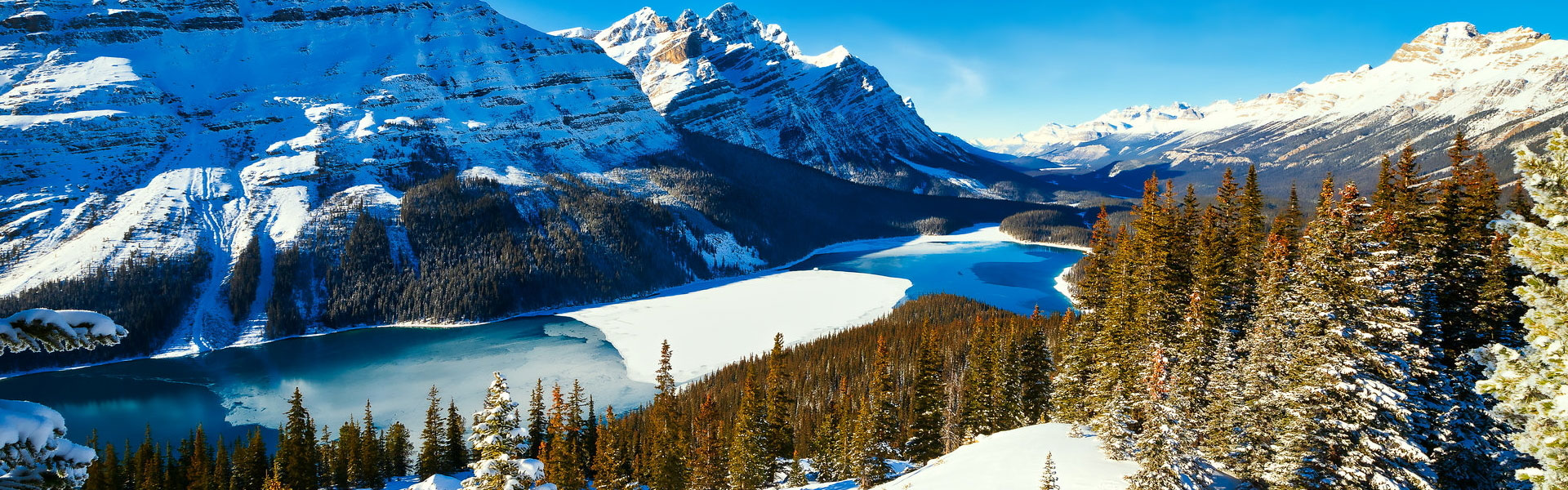 Winter in the Rockies