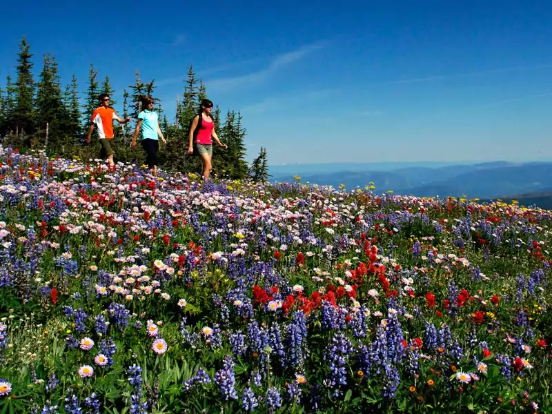 Canadian Rockies Scenic Delights by Road & Rail | Sun Peaks Resort