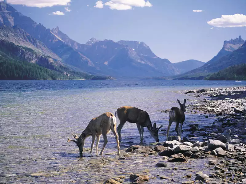 Canadian Trails Rail Across Canada | Bow River near Banff