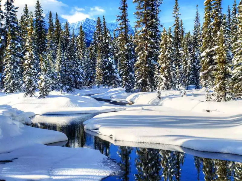 Christmas in the Canadian Rockies Winter Rail Vacations | Bow River
