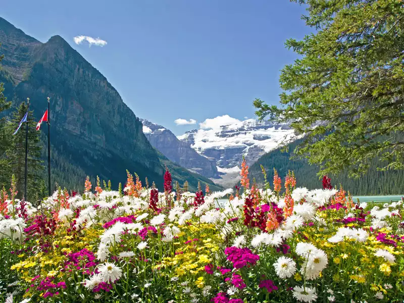 Grand Canadian Train Journey | Lake Louise