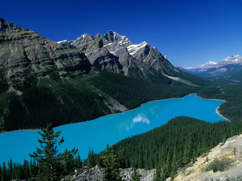 Grand Canadian Train Journey | Peyto Lake between Lake Louise & Jasper