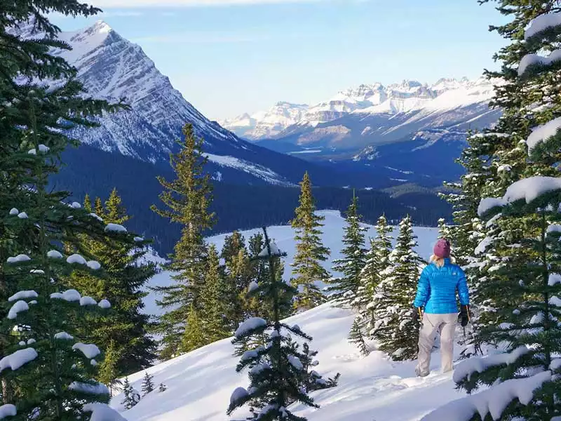 Luxury Snow Train to the Canadian Rockies | Icefield Parkway between Jasper & Lake Louise