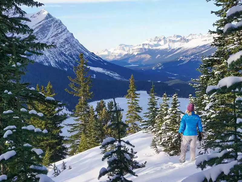 Canadian Rockies Winter Wonderland Rail Vacation